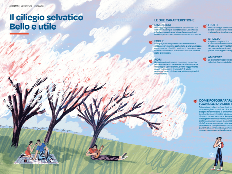 Immagine corso Illustrazione + Photoshop