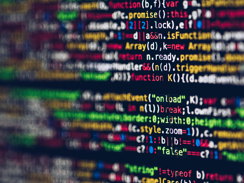 Immagine corso WordPress NoCode