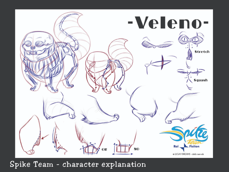 Immagine corso Anatomia Comparata 