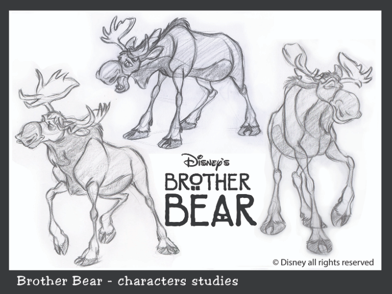 Immagine corso Anatomia Comparata 