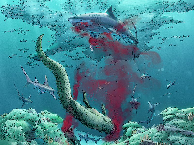 Immagine 4 del portfolio di Paolo Antiga