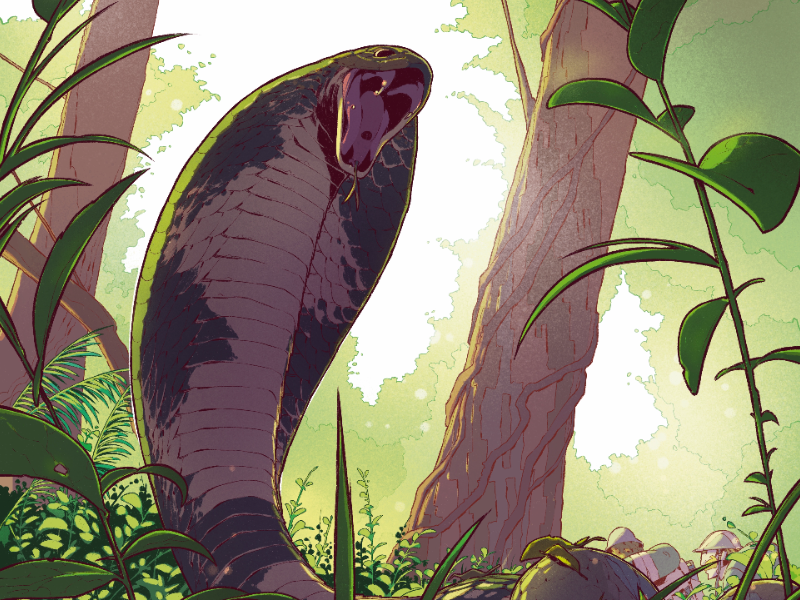 Immagine 2 del portfolio di Francesco Mazziotta