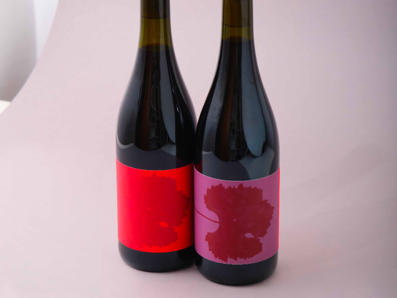 Immagine 2 del portfolio di Elisa Altan