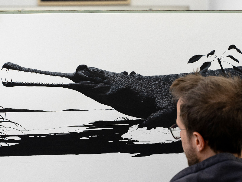 Immagine 7 del portfolio di Thomas Cian