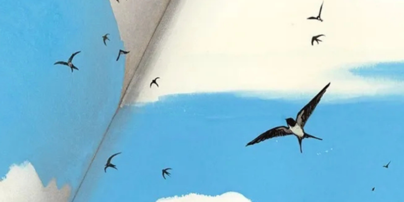 Immagine news TALK DI ILLUSTRAZIONE CON MANUELE FIOR